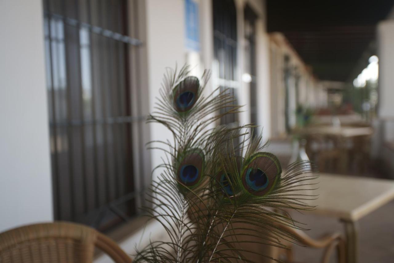 Hostal Rural Santa Habitaciones Aldea DEl Rocío מראה חיצוני תמונה